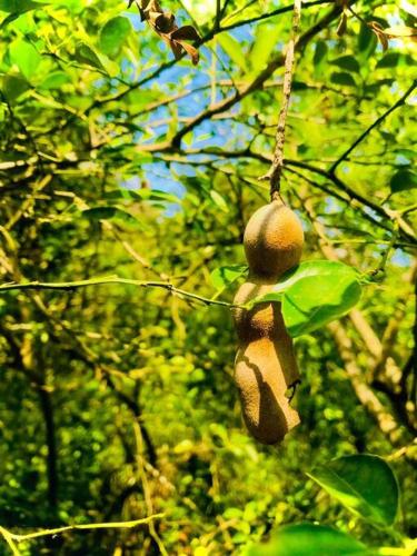 Fotografie z fotogalerie ubytování Streamside Sanctuary - Home Stay v destinaci Talatuoya