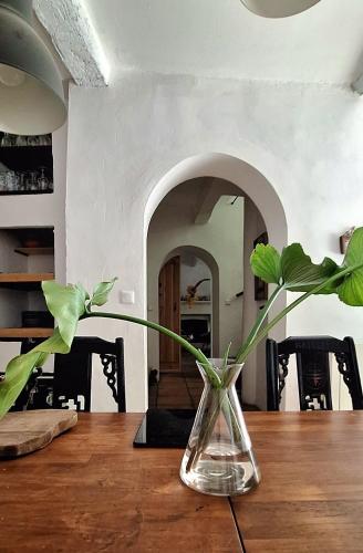 un vase sur une table en bois avec une plante dans l'établissement Villa Fontilha, à Usclas-lʼHérault
