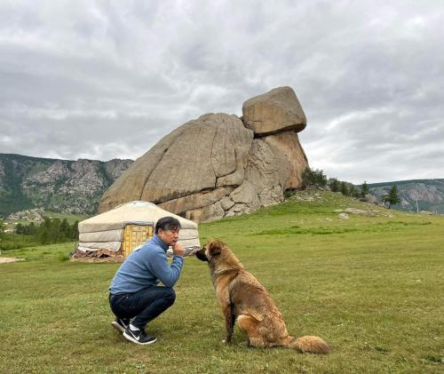 a man is petting a dog in a field at Camel Track Guesthouse and Tour Operator LLC in Ulaanbaatar