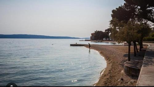a beach with trees and a body of water at I&A apartman in Kaštela