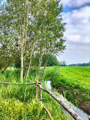 a fence in the middle of a field with trees at Agriturismo Valle Isola "La Tana del Gusto" in Comacchio