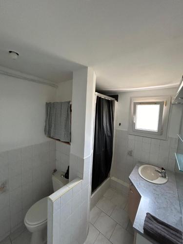 une salle de bain avec un lavabo et des toilettes et un lavabo dans l'établissement T4 Lumineux et Spacieux, Parking et parc privé, à Toulon