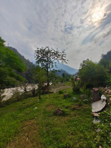 eine Bank auf einem grasbewachsenen Hügel mit einem Fluss in der Unterkunft Hotel Abhishek in Chamoli