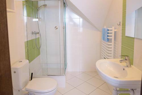 a bathroom with a shower and a toilet and a sink at Willa Północna II in Karwia