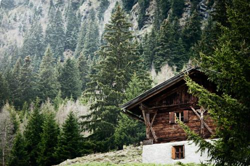a wooden cabin in the middle of a forest at stoanmandl Wohlfühlappartements in Neustift im Stubaital