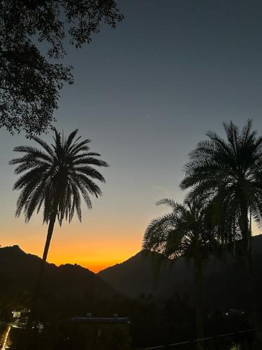 two palm trees with the sunset in the background at Cob House in Mount Ābu