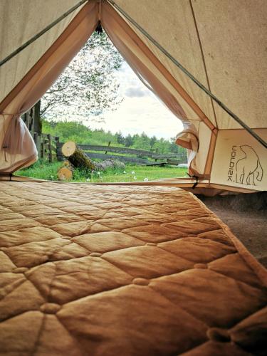 a bed in a tent with a view of a field at pole namiotowe Stajnia Kaliska in Łochów