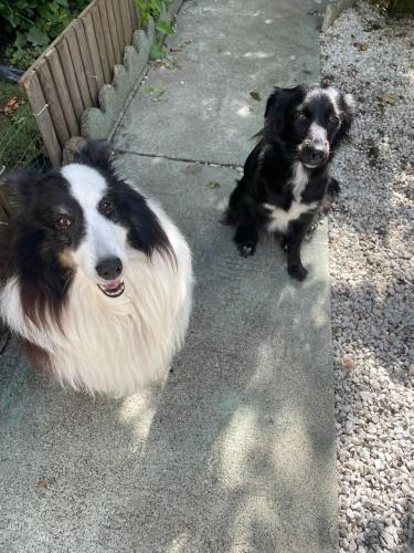 Photo de la galerie de l'établissement Petite maison au calme, à Épinay-sur-Seine