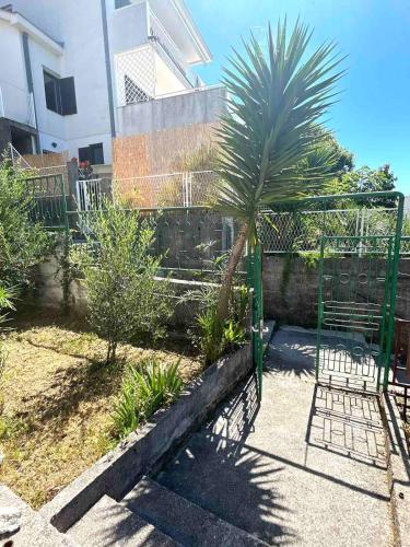 Gallery image of Apartments Maya in Herceg-Novi