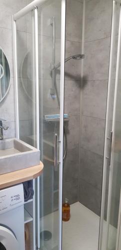 a shower with a glass door next to a sink at Détente à Mont-près-Chambord in Mont-près-Chambord