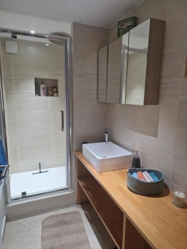 une salle de bain avec un lavabo et une douche dans l'établissement Jasmin, à Vitry-sur-Seine