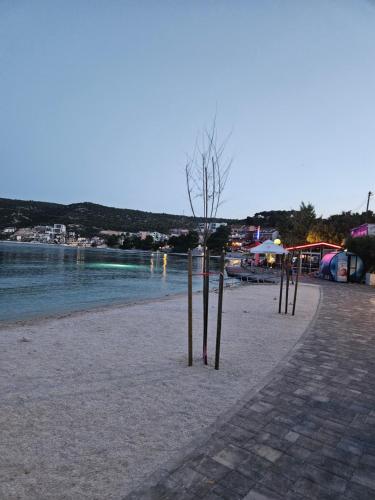 una fila de árboles en una playa cerca del agua en Apartment Citadela, en Marina