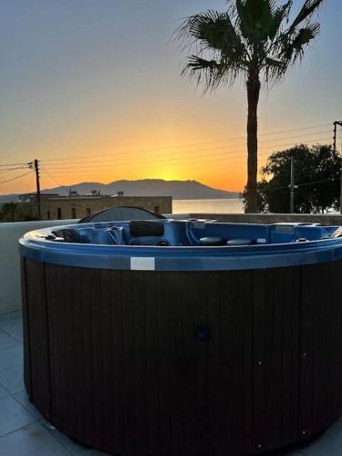a hot tub with a palm tree and the sunset at Colibri seafront villa with pool in Nopíyia