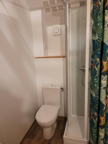 une petite salle de bain avec toilettes et douche dans l'établissement studette chez l'habitant, à Saint Lo