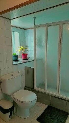a bathroom with a toilet and a glass shower at A casa do Rio - The River House in Arzúa