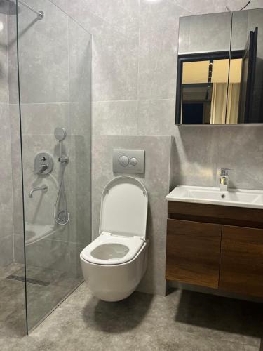 a bathroom with a shower and a toilet and a sink at Stasi apartments in Kobuleti
