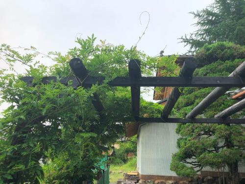 Um jardim em 古民家の宿「こはる」