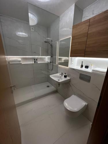 a bathroom with a shower and a toilet and a sink at Vanagupės 24 in Palanga