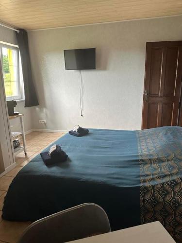 a bedroom with a blue bed with a tv on the wall at HOME SÉRÉNITÉ in Hazelbourg