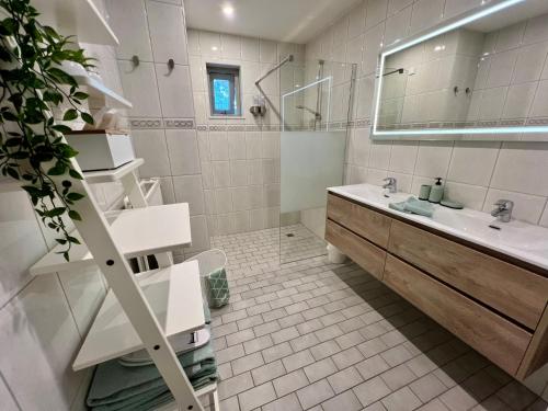 a bathroom with a sink and a mirror at De Bonte Specht in Nijverdal