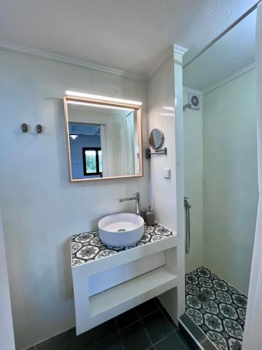 a bathroom with a sink and a mirror at Gozzadini Vineyard! in Avlonárion