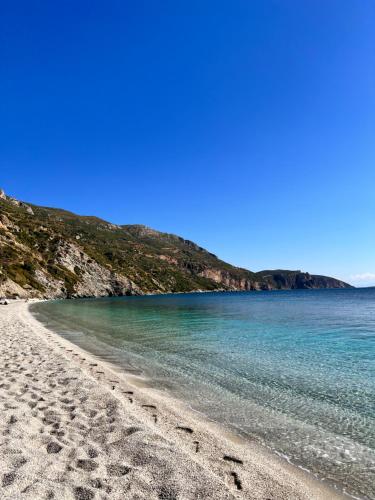a beach with footprints in the sand and the water at Gozzadini Vineyard! in Avlonárion