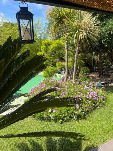 une lumière de rue et des fleurs dans un parc dans l'établissement Le flamant rose, à Ensuès-la-Redonne