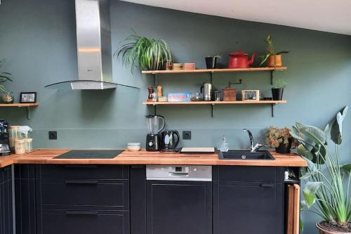 une cuisine avec un évier et un comptoir avec des plantes dans l'établissement Maison entre mer et campagne, à Plouha