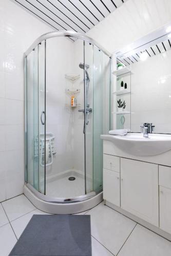 une salle de bain avec douche et lavabo dans l'établissement La Galerie Alsacienne Parking public gratuit, à Strasbourg