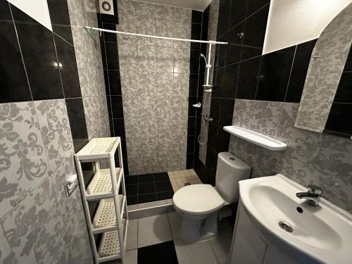 a small bathroom with a toilet and a sink at Odyseusz Jastarnia in Jastarnia