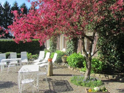 a group of chairs and a tree with pink flowers at Domaine De La Carrauterie by Terre Insolite in Sautin
