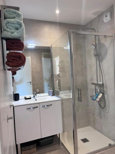 une salle de bain avec douche et lavabo dans l'établissement Appartement Standing, Centre,200m place Morny, à Deauville