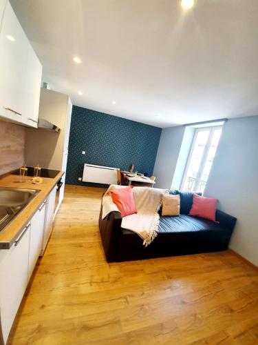 un salon avec un canapé dans une cuisine dans l'établissement ღ L'Ecluse - Centre ville, Wifi fibre, Netflix, à Béziers