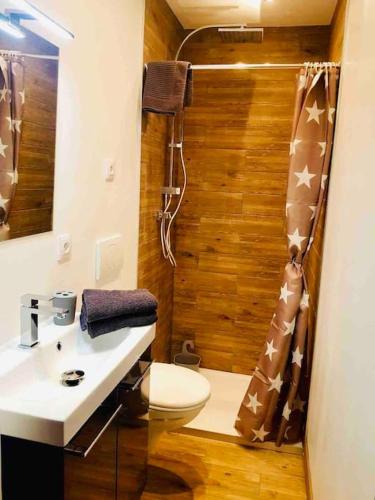 une salle de bain avec un lavabo, des toilettes et une douche dans l'établissement Villa Montplaisir, maison avec piscine privée à 800m du centre historique, à Avignon