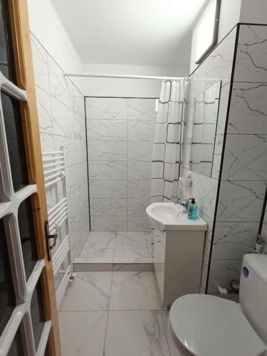 a bathroom with a shower and a toilet and a sink at Apartament Alis2011 in Buzău