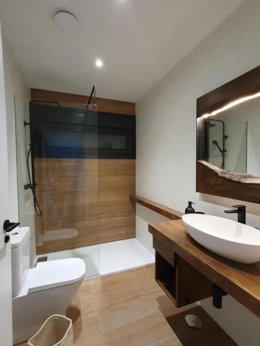 a bathroom with a sink and a toilet and a shower at Apartamentos Islas Pantorgas in Tapia de Casariego