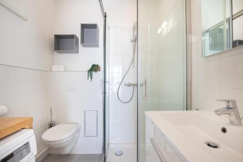 a bathroom with a shower and a toilet and a sink at Le Partage des eaux - 4 couchages - Hypercentre - Clim - Wifi in LʼIsle-sur-la-Sorgue