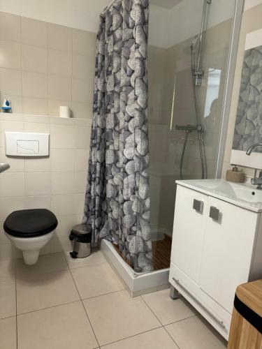 une salle de bain avec une douche avec des toilettes et un lavabo dans l'établissement 2- Cosy one bedroom apt 2-4p, located Place Nationale, à Antibes