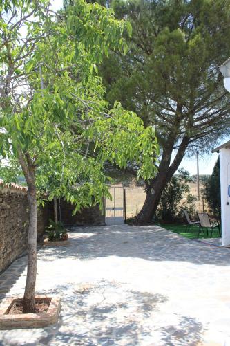 a patio with two trees and a fence at Casa Celia in Miranda del Rey