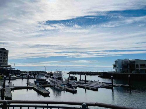 a group of boats docked in a harbor at entire beachfront apartment 5 Esplanades seaviews in Glenelg