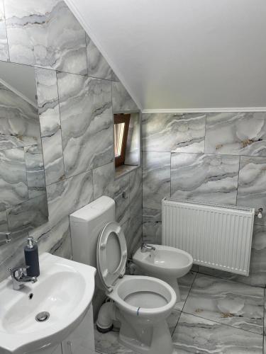 a bathroom with a toilet and a sink at Casa Bunicilor in Nucşoara