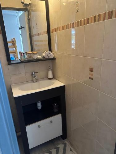 une salle de bain avec un lavabo et un miroir dans l'établissement Pieds dans l eau en Camargue, au Grau-du-Roi