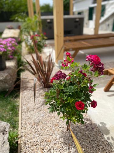 Holiday house Ivan 2 with heated pool