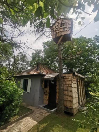 a house with a bird feeder on a tree at M5 COOL Station Kecskemét in Kecskemét