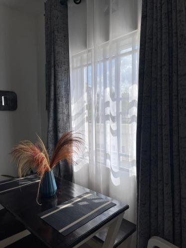 Gallery image of Buxton Luxury apartment in Mombasa