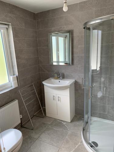 ein Badezimmer mit Toilette, Waschbecken und Dusche in der Unterkunft Mourne Country Cottage in Warrenpoint