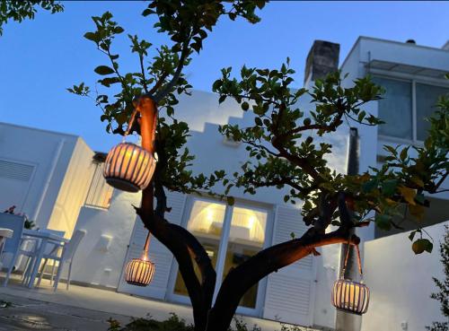 a tree with several lights on it in front of a house at CENTO FOGLIE la dimora del borgo in Felline