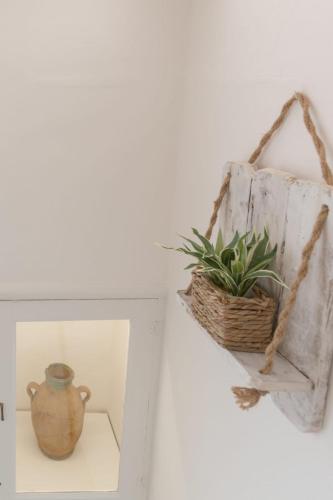 a vase sitting on a shelf with a plant at CENTO FOGLIE la dimora del borgo in Felline