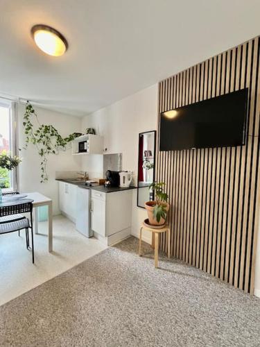 Il comprend une cuisine équipée d'une télévision murale. dans l'établissement Studio 2 Rue Théodore Bac - DABNB, à Limoges