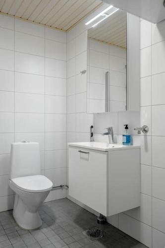 a bathroom with a toilet and a sink and a mirror at Brand new apartment - Minerva in Turku